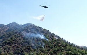 آتش سوزی جنگل های مریوان پس از ۳ روز مهار شد